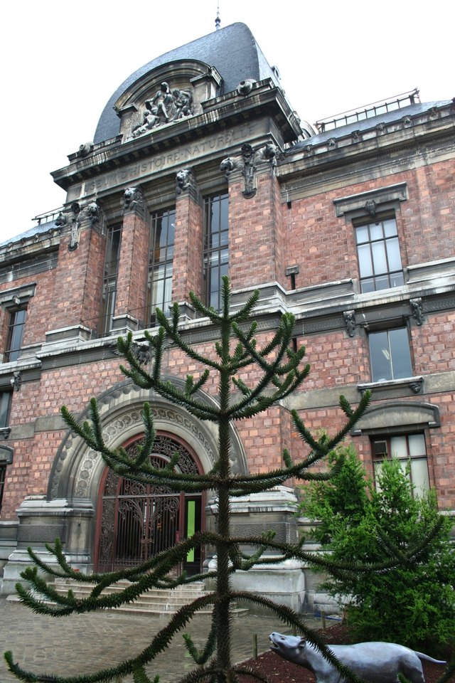 Galerie de Paléontologie et d'Anatomie comparée
