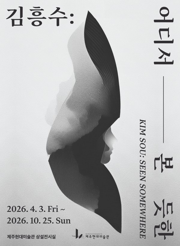 김흥수: 어디서 본 듯한