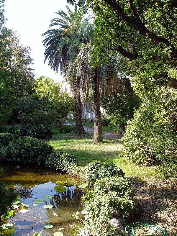 Pisa Botanic Garden and Museum