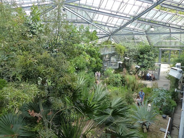 Hortus Botanicus Amsterdam